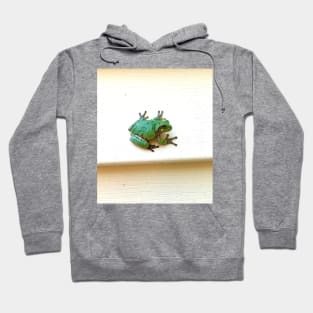 Angel Frog Hoodie